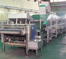 Folding and Portion Cutting Machine